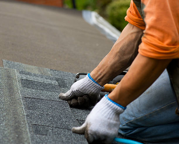 Best Gutter Installation and Roofing  in Rockville, MN